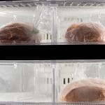 Appliance repair Ottawa - Freezer Frosting Over? What's Causing It and How to Fix It
